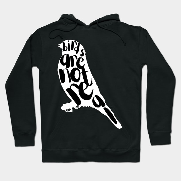 Birds are not real Hoodie by Little Designer